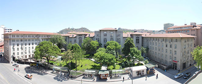 oidb rapor